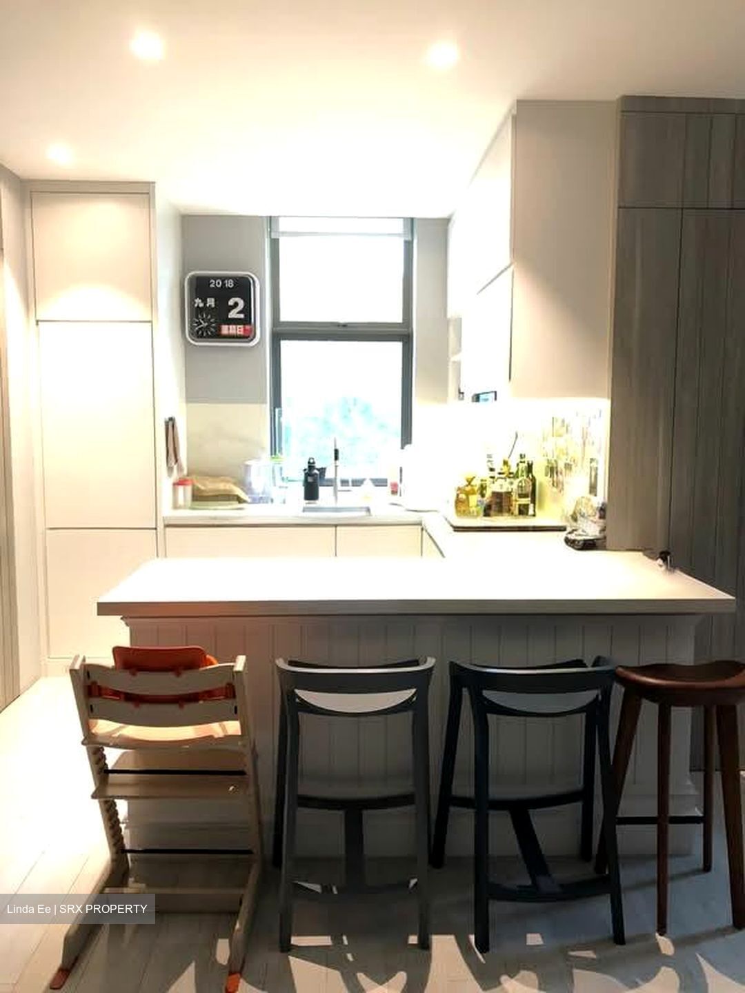Gardenville (D10), Condominium #568881651